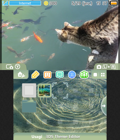 cat and fish