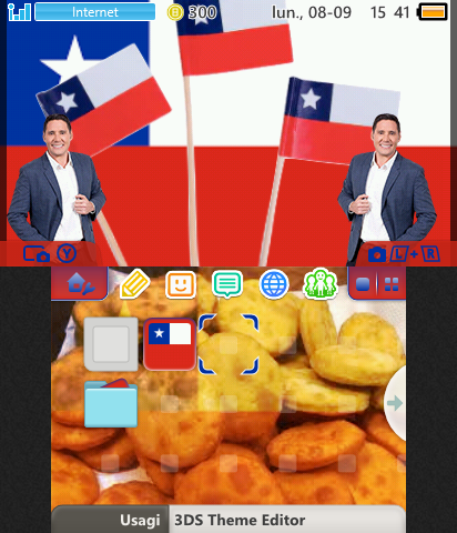 Tema de Chile