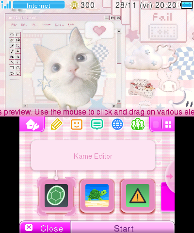 Pink Gingham Cat Theme
