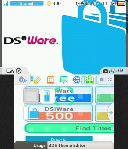 DSi Shop