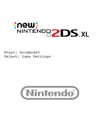 New Nintendo 2DS XL