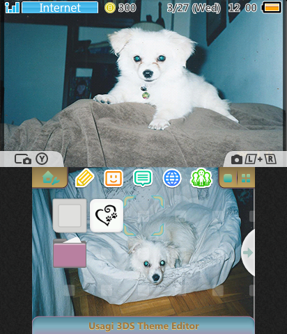 My Puppy Named Freddy