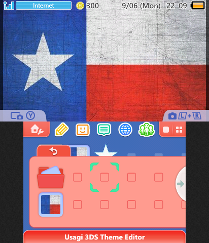 Texas Flag