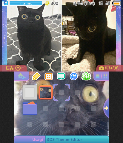 Jinx the cat the theme