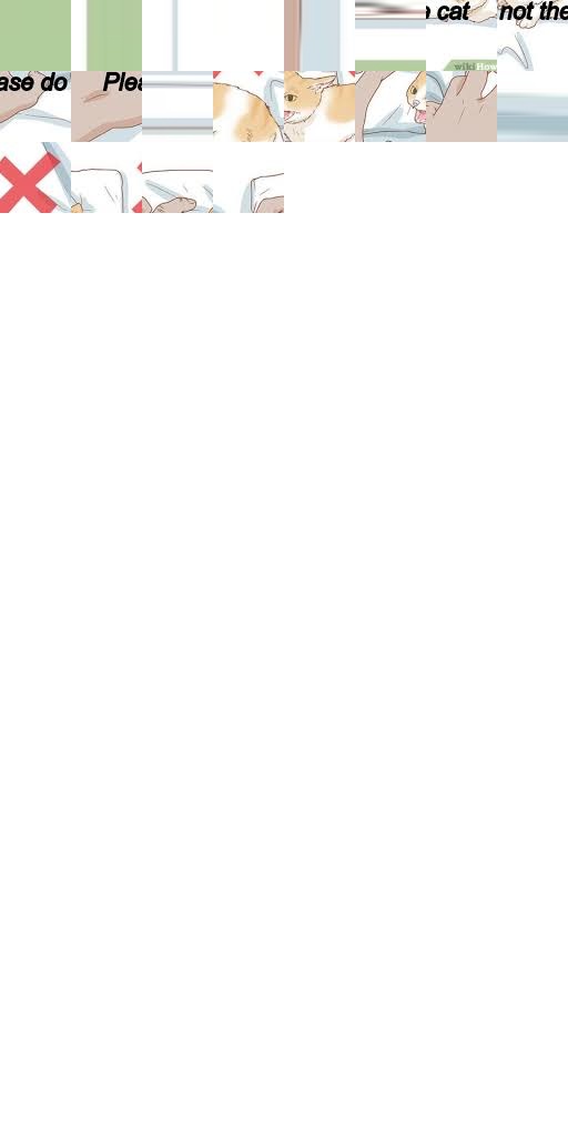 Please do not the cat