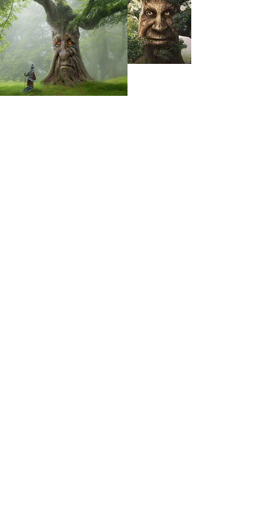 Wise Mystical tree badge