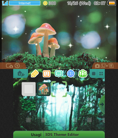 Mushroom in a Forest