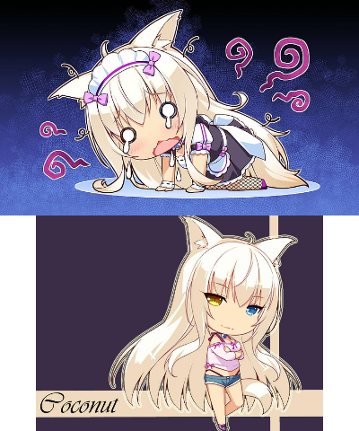 coconut nekopara