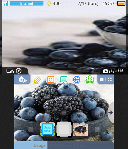 Myrtille bleu et noir