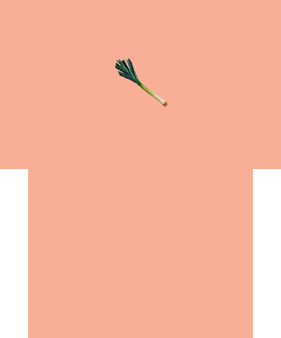 Leek