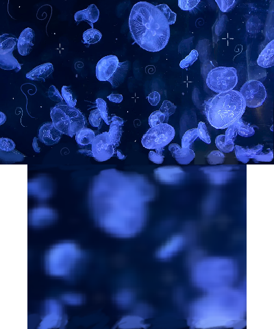 Jellyfish