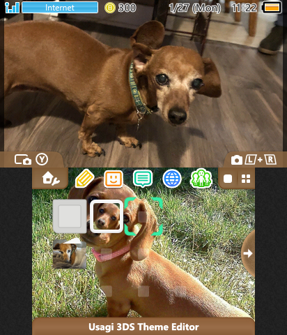 Weiner dog theme