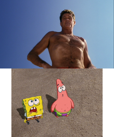 Who Are You? Im David Hasselhoff